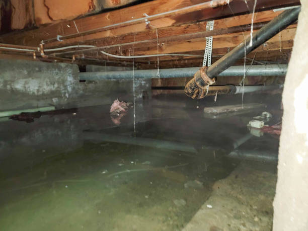 Best Water damage restoration near me  in Rkesburg, PA