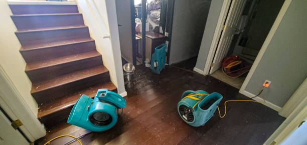 Best Water damage cleanup near me  in Rkesburg, PA
