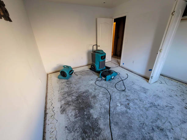 Best Water damage restoration insurance claims  in Rkesburg, PA