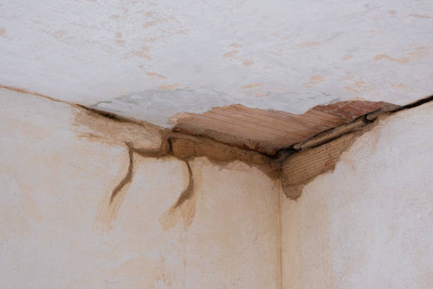 Carpet water damage restoration in Parkesburg, PA