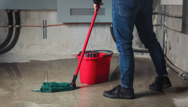 Water damage restoration mold remediation in Parkesburg, PA