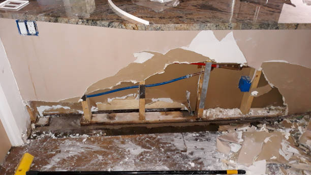 Best Ceiling water damage repair  in Rkesburg, PA