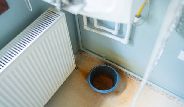 Best Local water damage restoration  in Rkesburg, PA