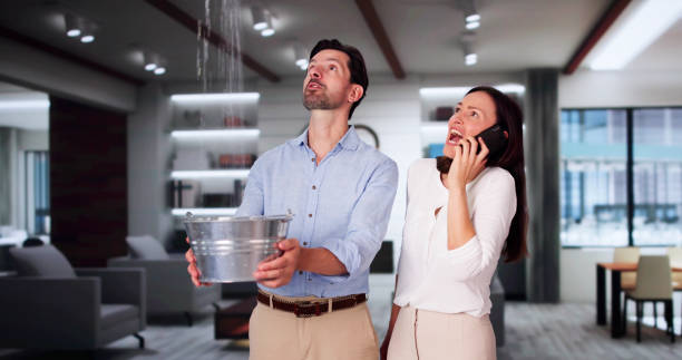 Best 24-hour water damage restoration  in Rkesburg, PA